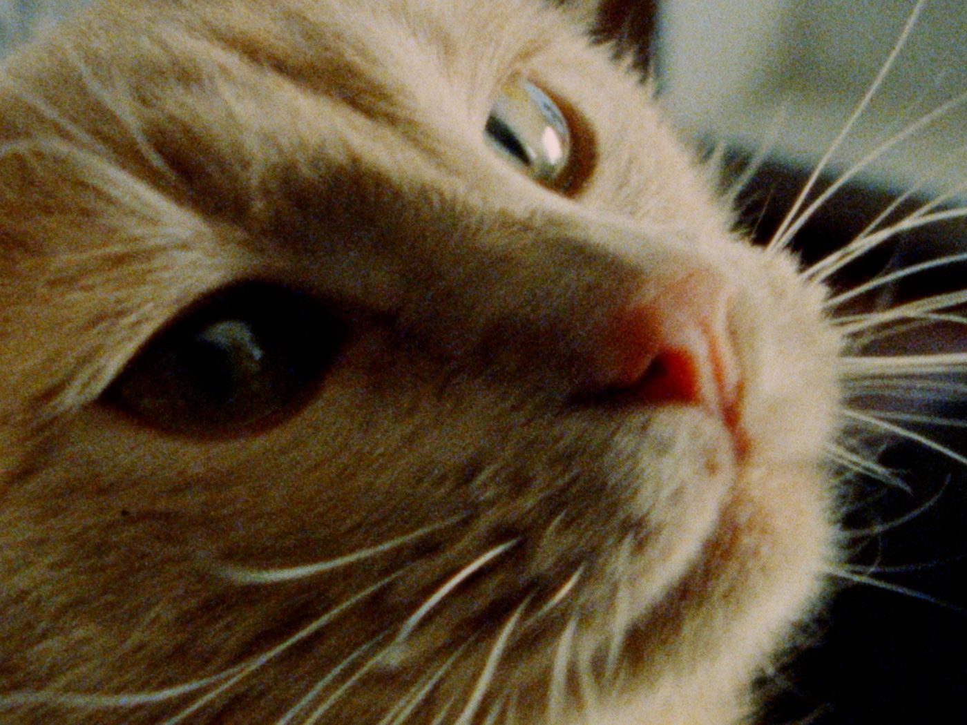 Still from It's Not For Me