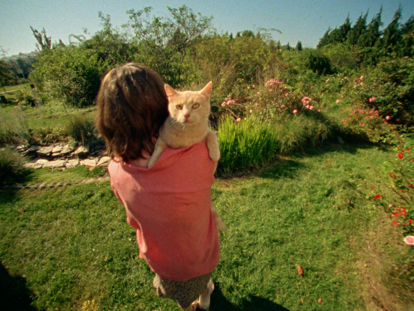 Still from It's Not For Me