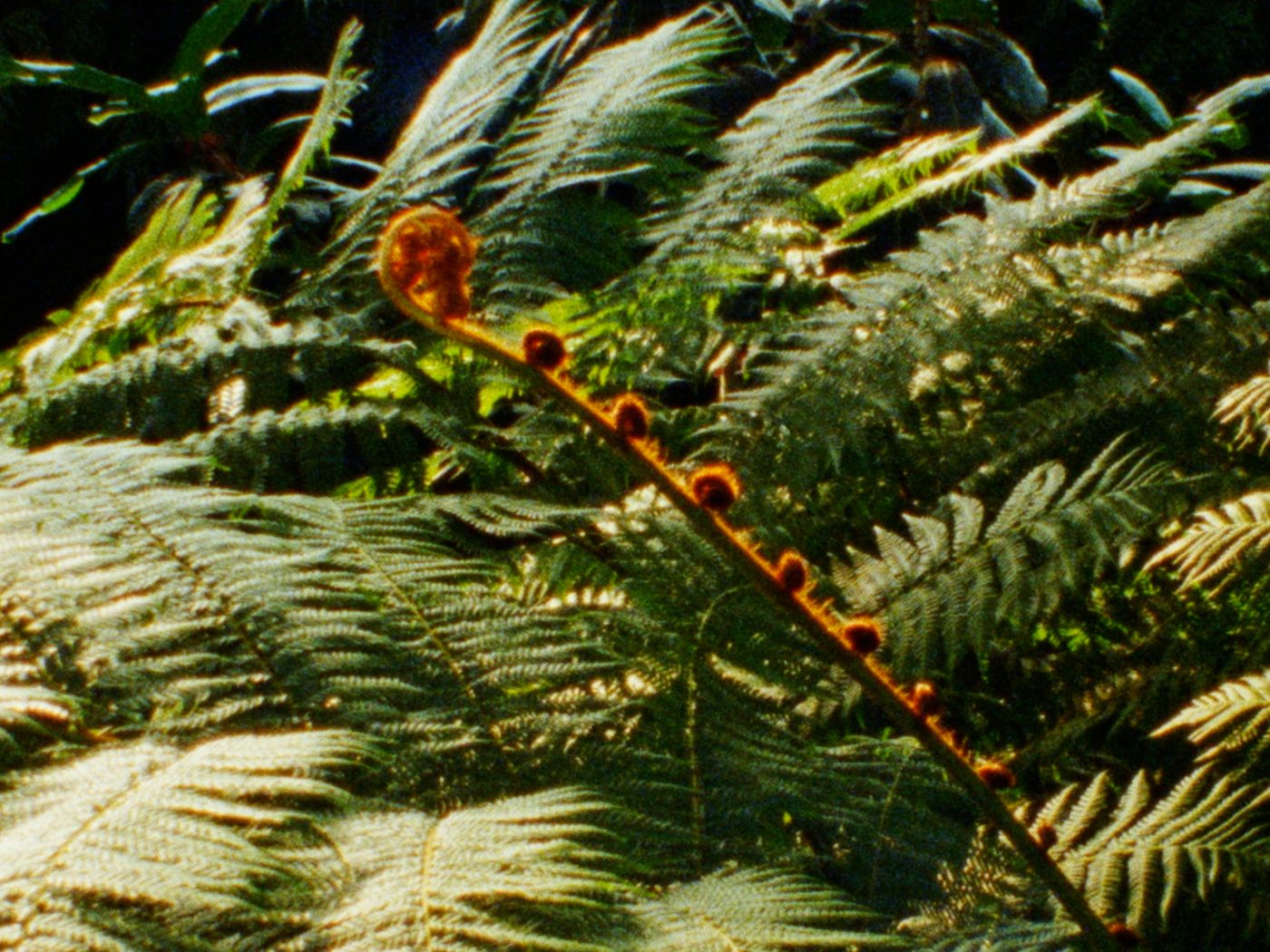 Still from It's Not For Me